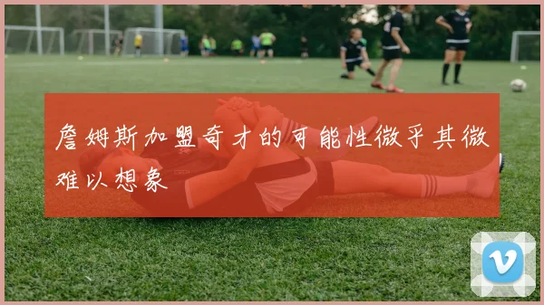詹姆斯加盟奇才的可能性微乎其微难以想象