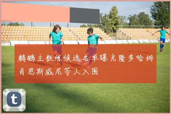 鹈鹕主教练候选名单曝光隆多哈姆肖恩斯威尼等人入围